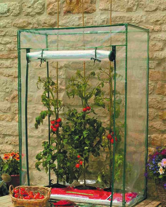 Toestemming Vrijgevigheid waterstof Westfalia Tomaten Kweekkas, 100 x 50 x 150 cm | bol.com