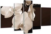 Glasschilderij Orchidee - Sepia, Bruin - 170x100cm 5Luik - Foto Op Glas - Geen Acrylglas Schilderij - 6000+ Glasschilderijen Collectie - Wanddecoratie