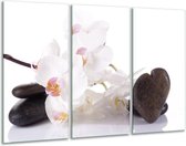 Glasschilderij Orchidee - Wit, Zwart - 120x80cm 3Luik - Foto Op Glas - Geen Acrylglas Schilderij - GroepArt 6000+ Glas Art Collectie - Maatwerk Mogelijk