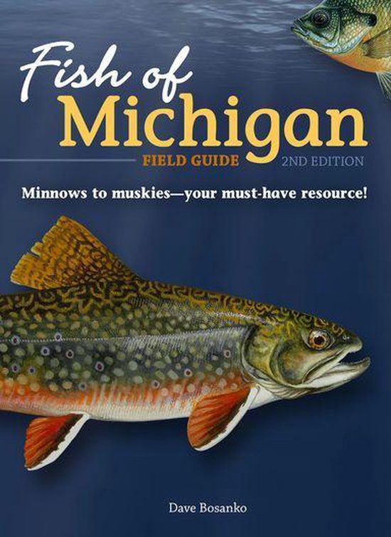 Fish Identification Guides - Fish of Michigan Field Guide - cover