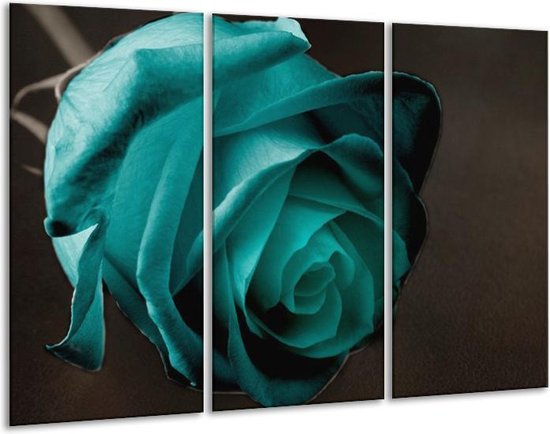 GroepArt - Schilderij -  Roos - Blauw, Wit, Zwart - 120x80cm 3Luik - 6000+ Schilderijen 0p Canvas Art Collectie