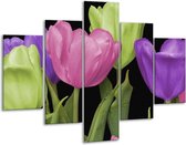 Glasschilderij -  Tulpen - Paars, Groen, Roze - 100x70cm 5Luik - Geen Acrylglas Schilderij - GroepArt 6000+ Glasschilderijen Collectie - Wanddecoratie- Foto Op Glas