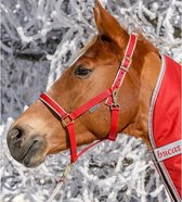 Bucas Halter Dublin Veulen Rood / Zilver