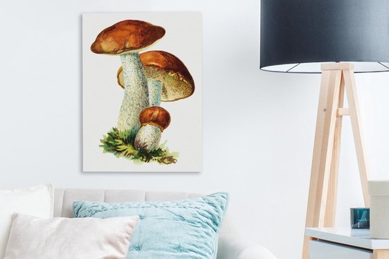 Peinture sur toile Champignons - Illustration - Rouge - Wit - 30x40 cm - Décoration murale