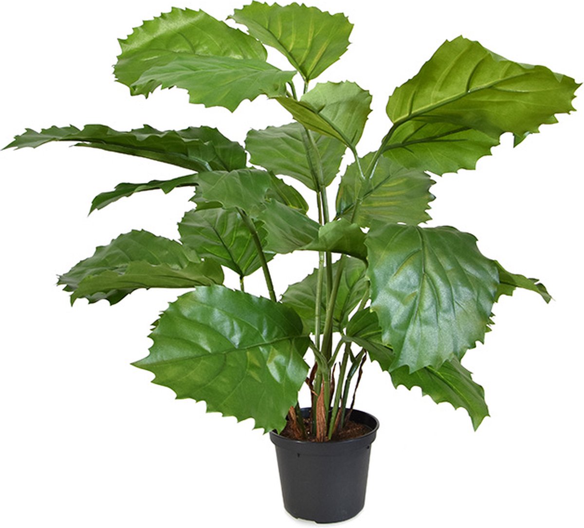 Tetrastigma kunstplant 40cm