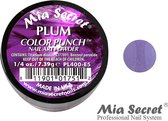 Color Punch Acrylpoeder Plum