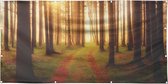Tuinposter - Mooi zonlicht door bomen in bos  - zon- en waterbestendig - 100x50 cm