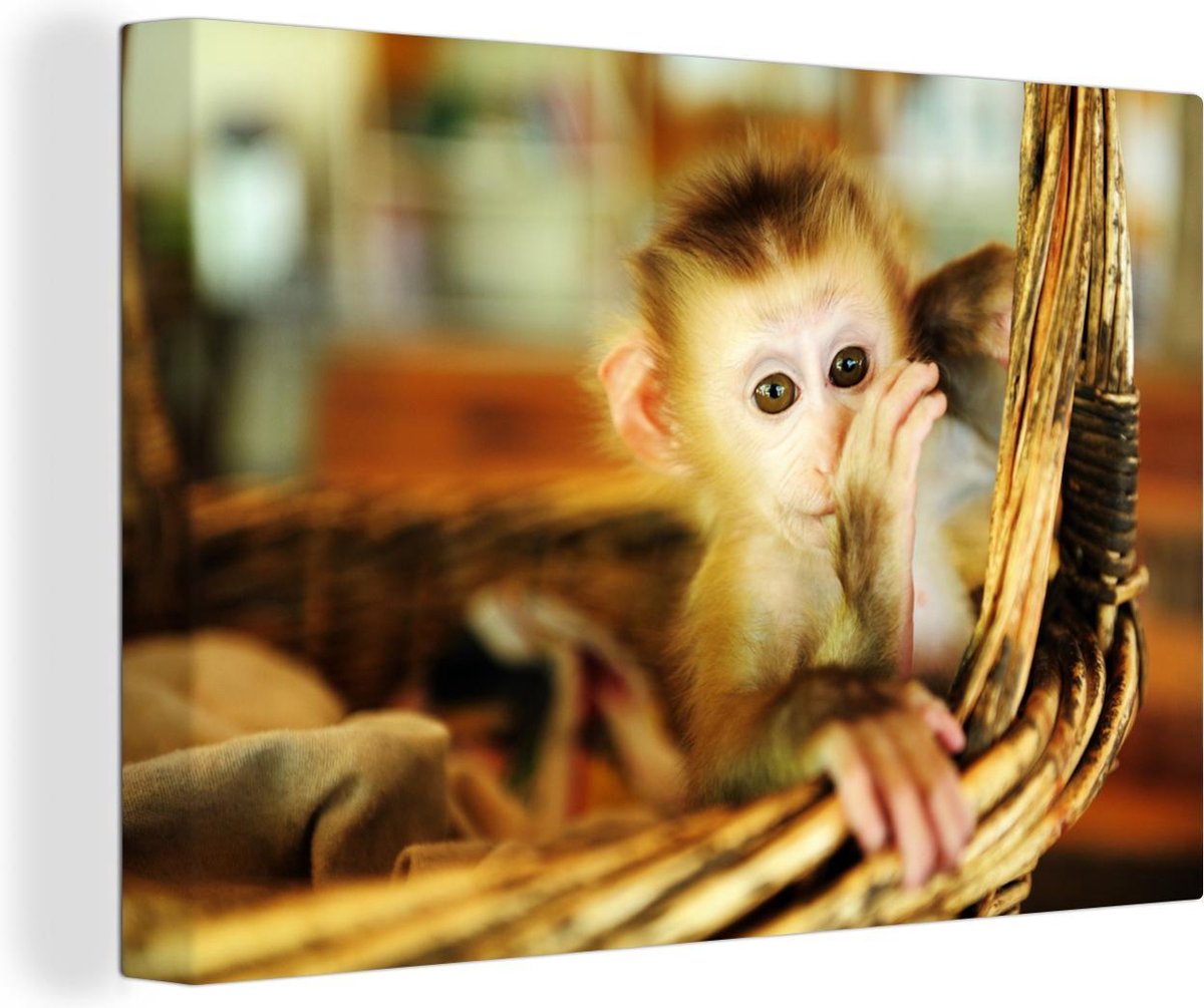 Canvas Schilderij Baby aap in een rieten mand - Jongen - Kind - Meisjes - Kinderen - 120x80 cm - Wanddecoratie