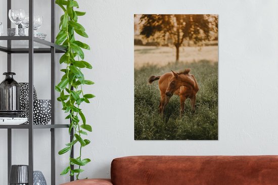 Quarter horse poulain regarde 40x60 cm - Tirage photo sur toile (Décoration murale salon / chambre) / Peintures sur toile Mammifères