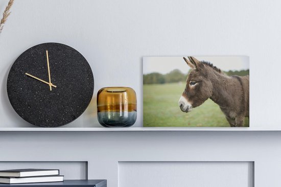Gros plan âne nain 30x20 cm - petit - Tirage photo sur toile (Décoration murale salon / chambre) / animaux sauvages Peintures sur toile