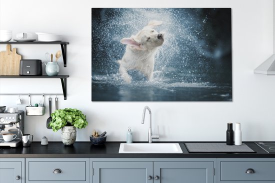Labrador secoue la toile d'eau 2cm 140x90 cm - Tirage photo sur toile (Décoration murale salon / chambre) / Peintures sur toile pour Animaux domestiques