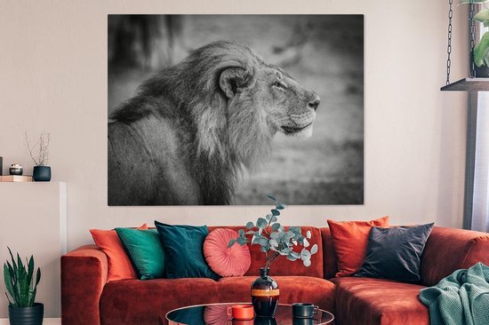 Toile de lion mâle 2cm 160x120 cm - Tirage photo sur toile (Décoration murale salon / chambre) / Animaux sauvages Peintures sur toile XXL / Groot format!