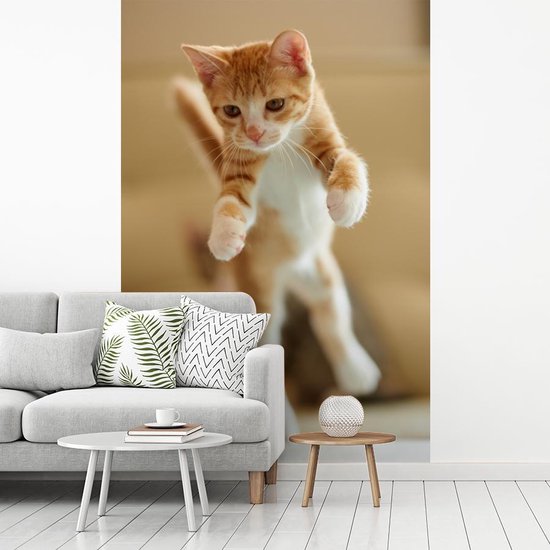 Papier peint photo vinyle - Un gros plan d'un chaton sautant largeur 190 cm x hauteur 280 cm - Tirage photo sur papier peint (disponible en 7 tailles)