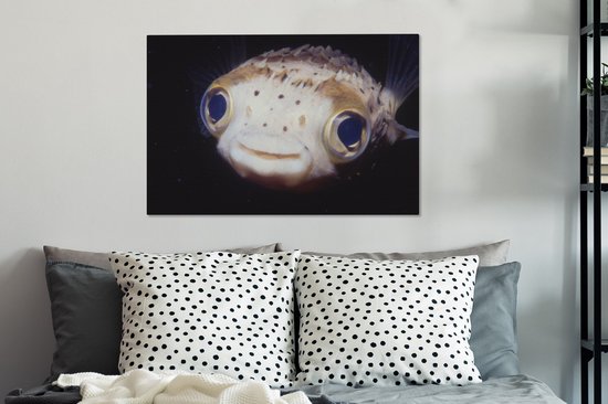 Gros plan poisson-globe 60x40 cm - Tirage photo sur toile (Décoration murale salon / chambre) / Peintures sur toile animaux sauvages
