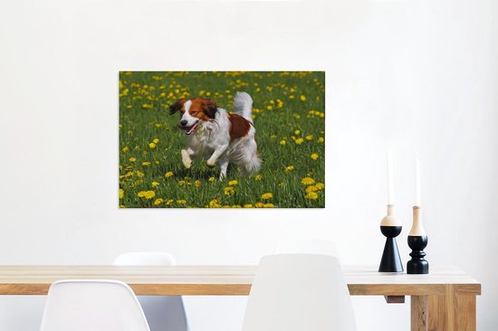 Kooiker traverse une toile d'herbe 2cm 90x60 cm - Tirage photo sur toile (Décoration murale salon / chambre) / Peintures sur toile pour Animaux domestiques