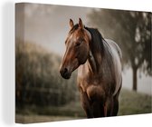 Canvas Schilderij Paard - Licht - Bos - 90x60 cm - Wanddecoratie