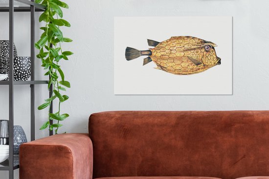 Canvas Schilderij Vis - Realisme - Goud - 60x40 cm - Wanddecoratie