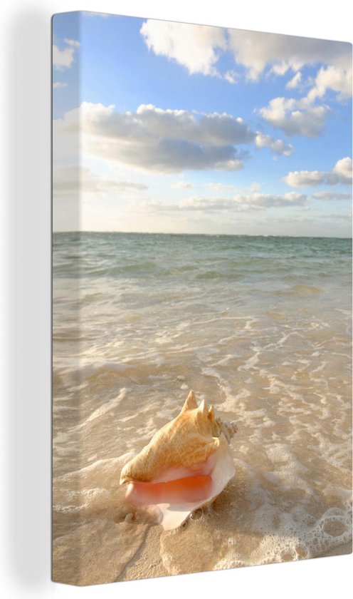 Poster Coquille de conque sur la plage 