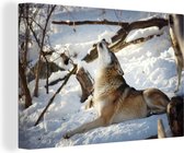 Loup eurasien hurlant 180x120 cm - Tirage photo sur toile Peinture (Décoration murale salon / chambre) / Animaux sauvages Peintures sur toile XXL / Groot format!