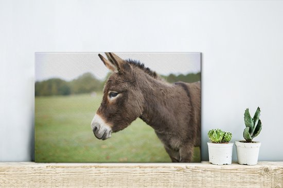 Gros plan âne nain 30x20 cm - petit - Tirage photo sur toile (Décoration murale salon / chambre) / animaux sauvages Peintures sur toile