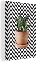 Plante à feuilles rayées pour fond en zigzag 20x30 cm - petit - Tirage photo sur toile (Décoration murale salon / chambre)