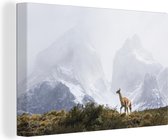 Canvas Schilderij Lama - Sneeuw - Bergen - 90x60 cm - Wanddecoratie
