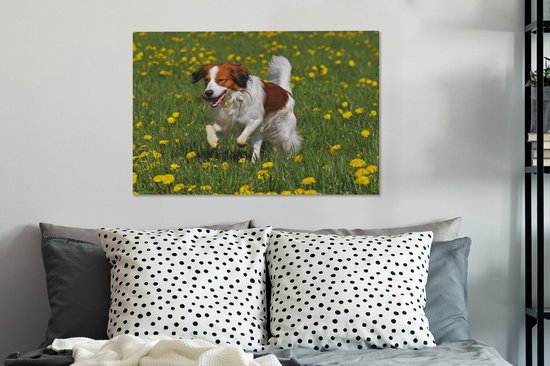 Kooiker traverse une toile d'herbe 2cm 90x60 cm - Tirage photo sur toile (Décoration murale salon / chambre) / Peintures sur toile pour Animaux domestiques
