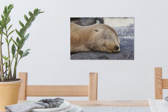 Tableau sur toile Gros plan - Animaux - Pierres - 30x20 cm - Décoration murale