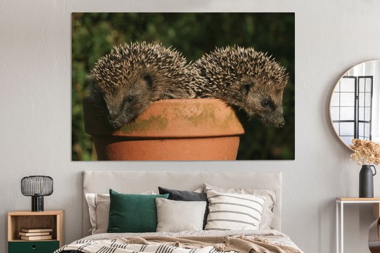 Tableau sur toile Deux hérissons sur un pot - 150x100 cm - Décoration murale