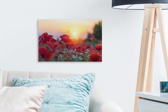 Coquelicots avant le soleil couchant toile 2cm 30x20 cm - petit - Tirage photo sur toile (Décoration murale salon / chambre)