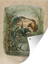 Tuinschilderij Antieke vogelprent ijsvogel - 60x80 cm - Tuinposter - Tuindoek - Buitenposter