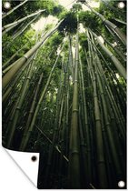 Tuinposter - Tuindoek - Tuinposters buiten - Bamboebos Hawai - 80x120 cm - Tuin