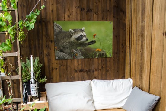 Posters de jardin extérieur Raton laveur - Fleurs - Oranje - 90x60 cm - Toile de jardin - Affiche extérieure