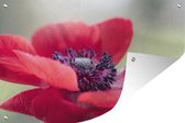 Affiche de jardin anémone rouge toile en vrac 180x120 cm - Toile de jardin / Toile d'extérieur / Peintures d'extérieur (décoration de jardin) XXL / Groot format!