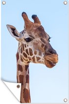 Tuindecoratie Dier - Giraffe - Lucht - 40x60 cm - Tuinposter - Tuindoek - Buitenposter