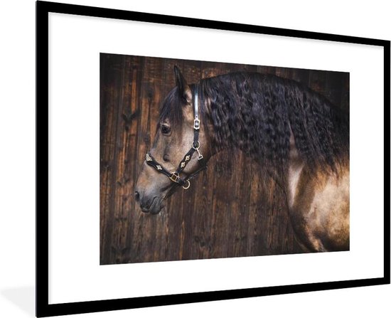 Cheval andalou devant un cadre photo fond en bois noir avec passe-partout blanc 60x90