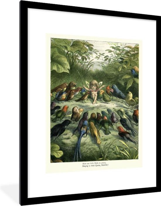 Fotolijst incl. Poster - Antieke vogelprent elf - 60x80 cm - Posterlijst