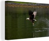 Un pygargue à tête blanche vole hors de l'eau Toile 30x20 cm - petit - Tirage photo sur toile (Décoration murale salon / chambre)