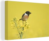 Canvas Schilderij Vogel - Plant - Geel - 90x60 cm - Wanddecoratie