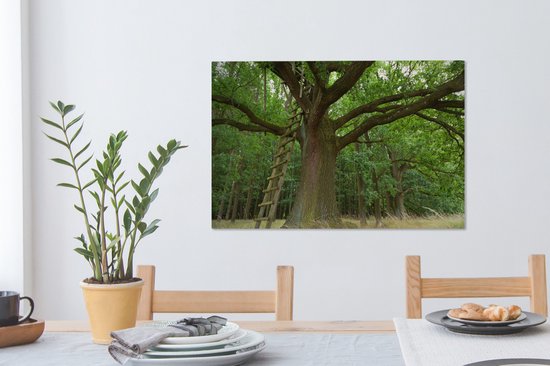 Echelle en bois contre un vieux chêne Toile 90x60 cm - Tirage photo sur toile (Décoration murale salon / chambre) / Arbres Peintures sur toile