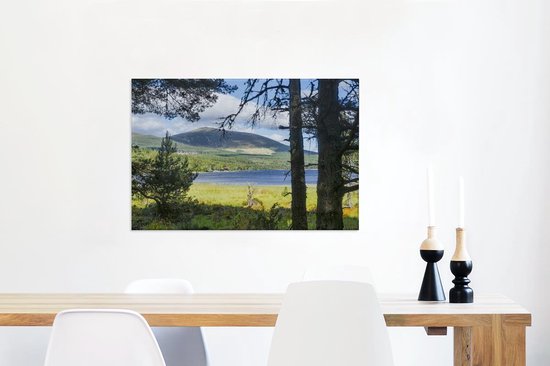 Canvas Schilderij Het meer Loch Morlich in het Nationaal park Cairngorms in Schotland - 90x60 cm - Wanddecoratie