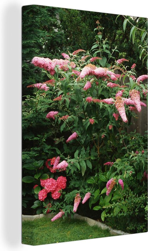 Canvas Schilderij Roze vlinderstruik in een tuin - 60x90 cm - Wanddecoratie