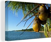 Canvas Schilderij Tropische taferelen in de kokosnoot palmen op het strand - 120x80 cm - Wanddecoratie