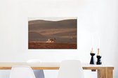 Canvas Schilderij Vos - Dieren - Woestijn - 90x60 cm - Wanddecoratie