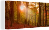 Le soleil d'automne se lève dans une forêt colorée du Jutland danois Toile 40x20 cm - Tirage photo sur toile (Décoration murale salon / chambre)
