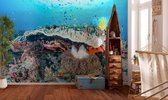 Komar Coral Reef Vlies Fotobehang 400x280cm 8-banen
