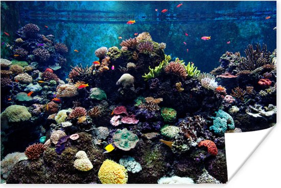 Aquarium met tropische vissen en koralen poster 120x80 cm - Foto print op Poster (wanddecoratie woonkamer / slaapkamer)