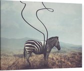 Abstracte zebra - Foto op Canvas - 40 x 30 cm
