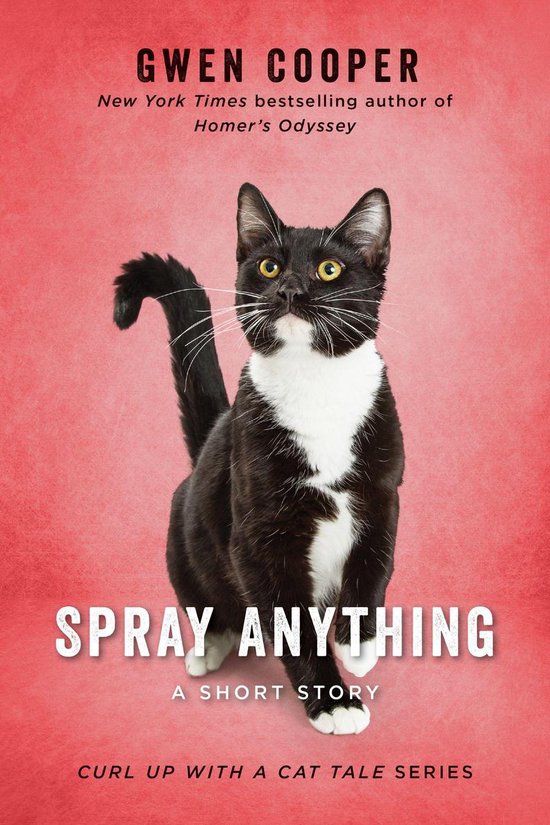 Spray Anything - cover