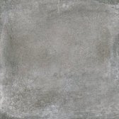 WOON-DISCOUNTER.NL - Moliere Gris 60 x 60 cm, €11,95 per m2 -  Keramische tegel  - Grijs - 533408